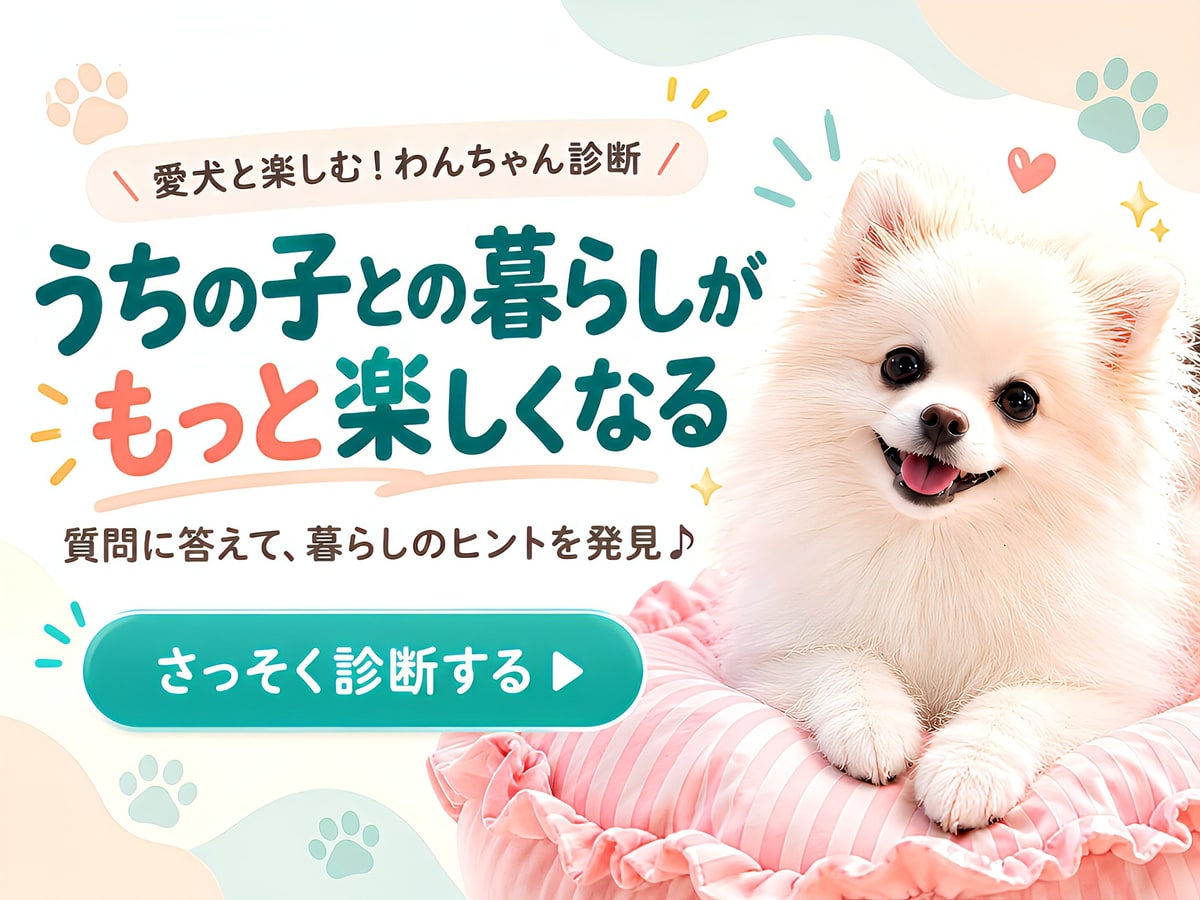 愛犬と楽しむワンちゃん診断。質問に答えて、うちの子との暮らしのヒントを発見。