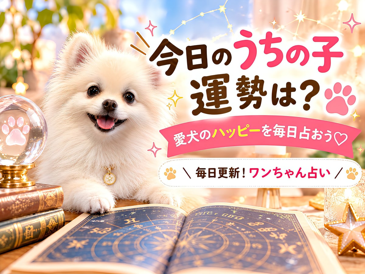 うちの子占い。今日のうちの子の運勢は？愛犬のハッピーを毎日占おう。