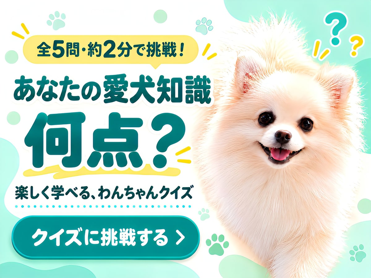 あなたの愛犬知識、何点？全5問・約2分で楽しく学べるワンちゃんクイズ。