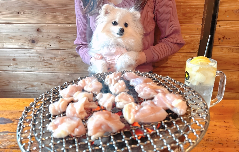 ゆめちゃんと軟骨（焼き中）
