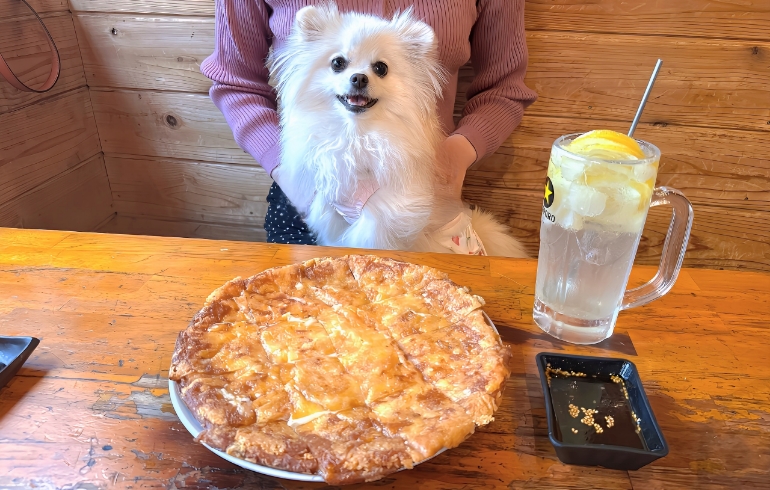 チヂミ